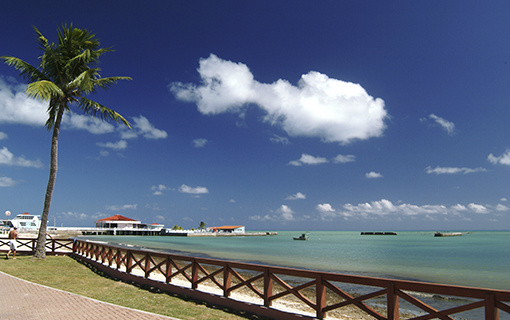 Brasil será o destino de quase 80% dos brasileiros que pretendem viajar nos próximos seis meses Brasil será o destino de quase 80% dos brasileiros que pretendem viajar nos próximos seis meses