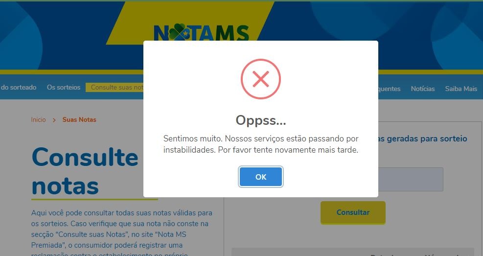 Site instável, impede consumidores em conferir as dezenas dos cupons