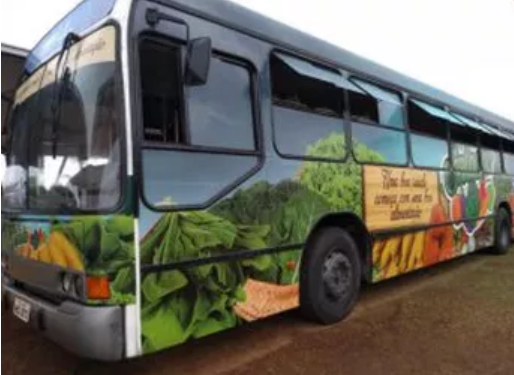 O Saladão pode armazenar mais de 300 kg de hortaliças e frutas. Sedesc