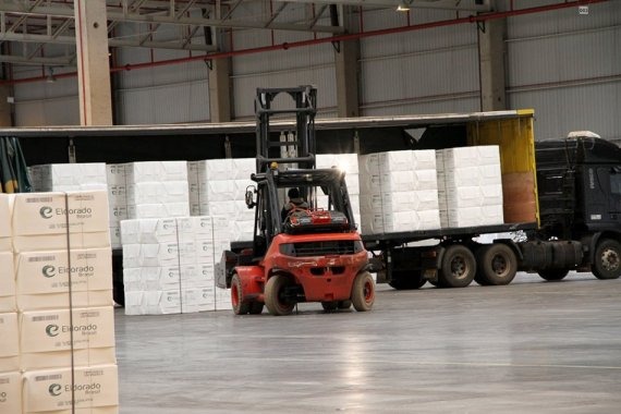 Celulose já responde por 60% das exportações de industrializados de MS Celulose já responde por 60% das exportações de industrializados de MS
