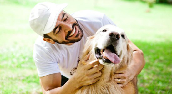 Projeto de Pesquisa revela bairros com maior incidência de Leishmaniose em Campo Grande