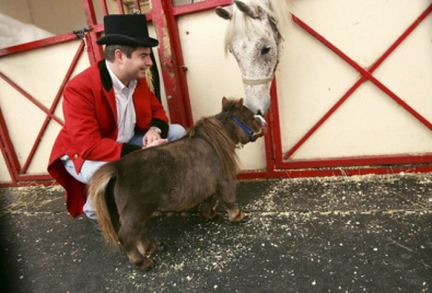 Conheça o menor cavalo do mundo Conheça o menor cavalo do mundo