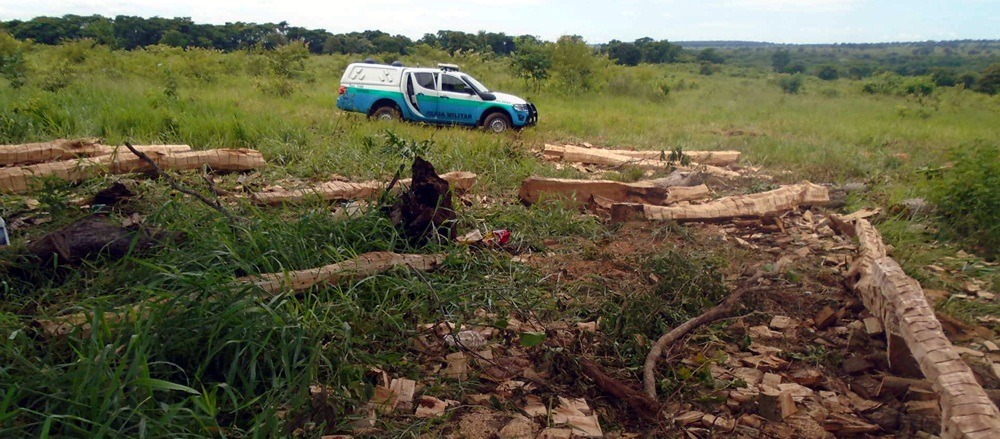 Empreiteiro é autuado por retirada de madeira seca e derrubava árvores em fazenda