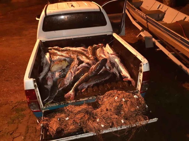 Três são presos com 119 kg de peixe durante o período da Piracema Três são presos com 119 kg de peixe durante o período da Piracema