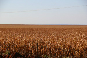 oto: Marcos Ermínio)