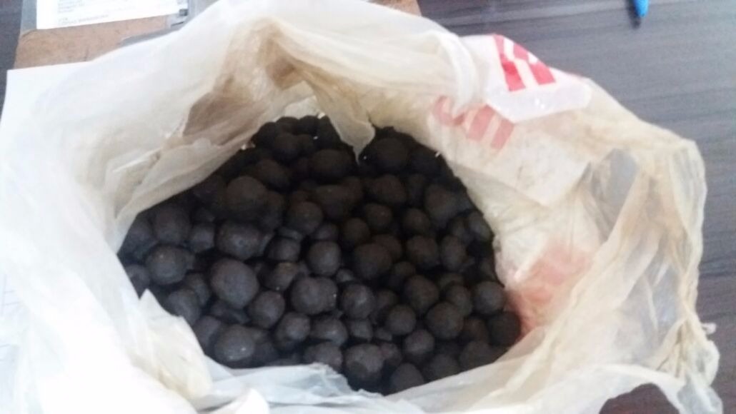 Foto: Osvaldo Duarte