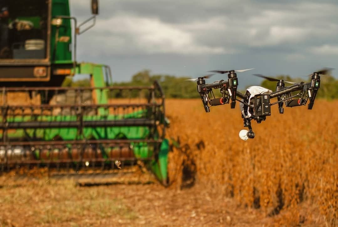 Censo Agropecuário: Brasil tem 5 milhões de estabelecimentos rurais Divulgação