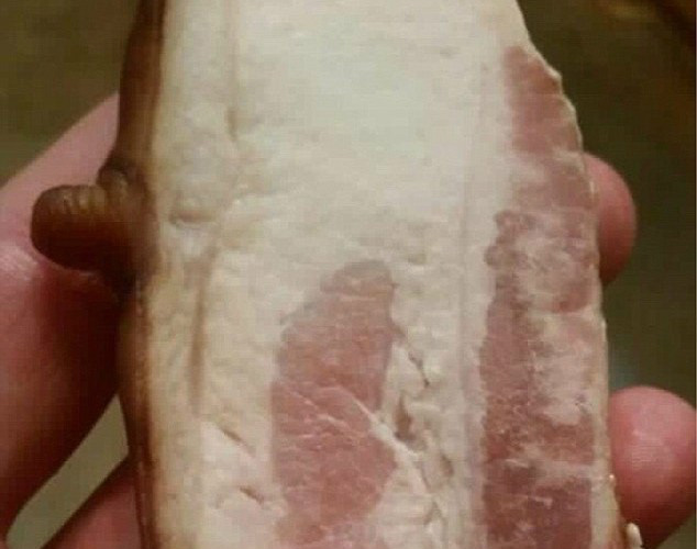 Fatia de bacon com mamilo escandaliza redes sociais e revolta internautas