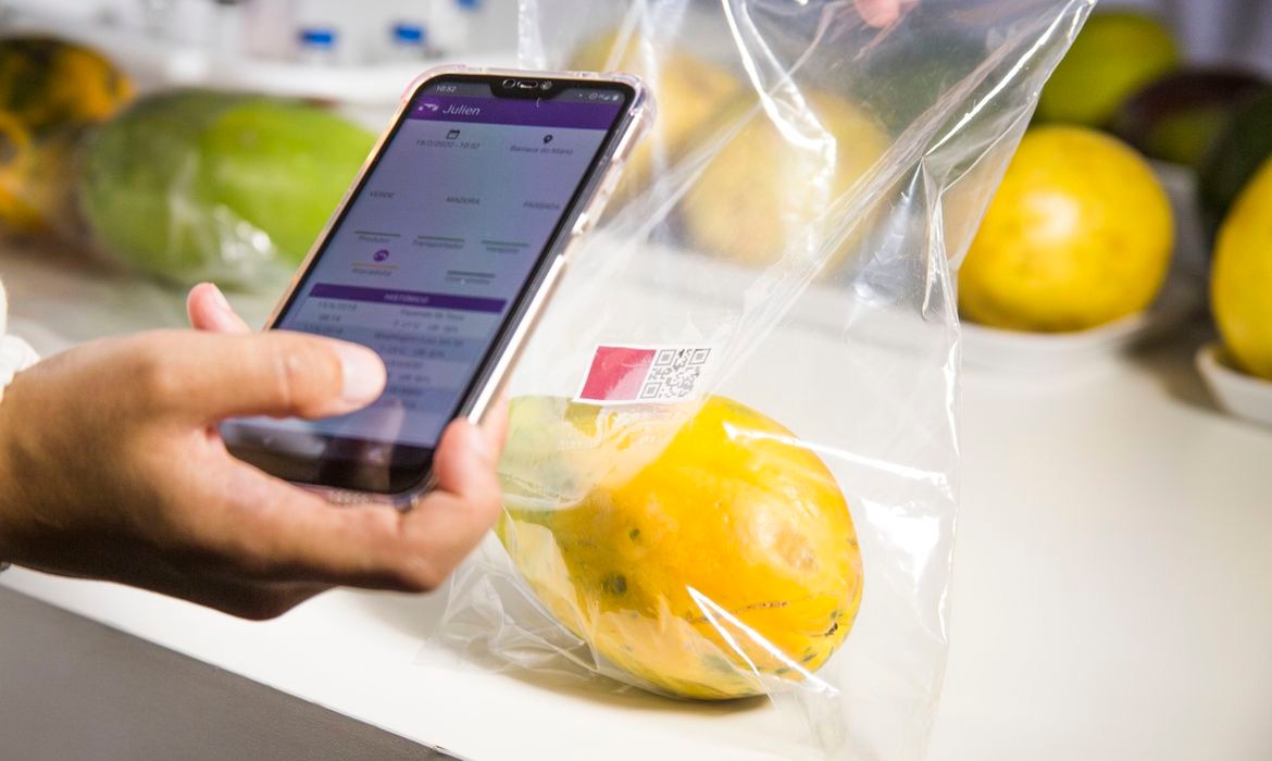 Embrapa desenvolve sensor que avalia grau de maturação de frutas © Divulgação/Embrapa