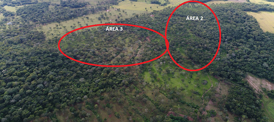 Fazendeiro é multado em R$ 65 mil por desmatar vegetação nativa Imagens de satélite. PMA/Divulgação