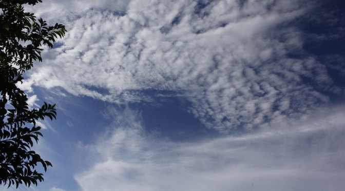 Terça-feira de tempo parcialmente nublado e máxima de 35°C Chico Ribeiro