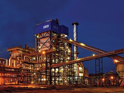 Biosev vai redirecionar seu ativo biológico para outras unidades em MS - Foto: Divulgação Biosev