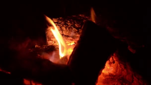Incêndio em vegetação na Região Lagoa causa histeria, após filmagem nas redes sociais Foto Ilustrativa