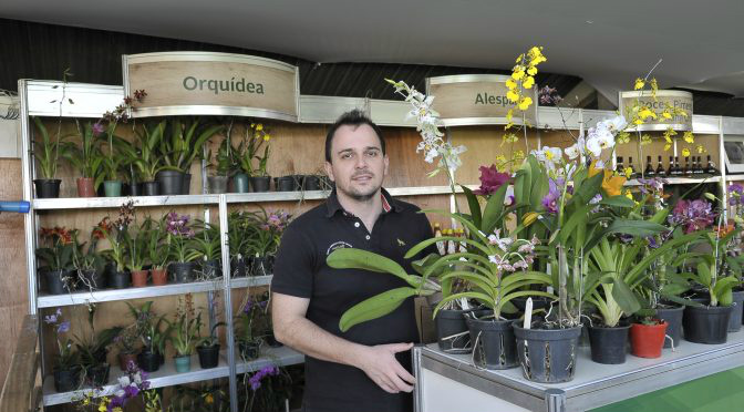 Na agricultura familiar, paixão de infância por orquídeas vira empreendedorismo de gente grande