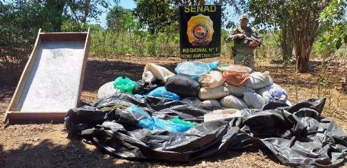 Senad do Paraguai desmonta base do narcotráfico na fronteira Senad do Paraguai desmonta base do narcotráfico na fronteira