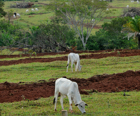 Meta é fomentar áreais rurais, de turismo, comércio e indústria - Foto: Valdenir Rezende / Correio do Estado