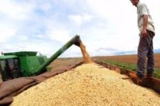 Safra de grãos supera recorde e pode chegar a 234 milhões de toneladas