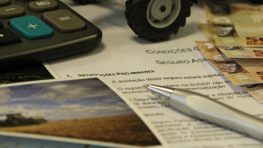 Seguro para culturas de inverno totalizou R$ 87 milhões e saldo remanescente foi remanejado para culturas de verão da safra 2016/207 (Foto: Sueli Issaka/Ed. Globo)
