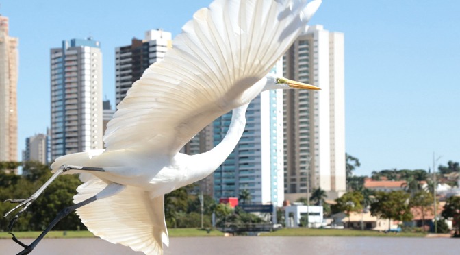 Parque dos Poderes e Parque das Nações Indígena são opções de lazer para feriado