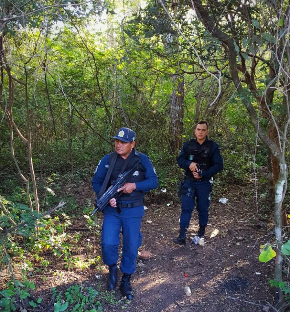 Policiais em incursão na mata (Foto: Polícia Militar/Divulgação)