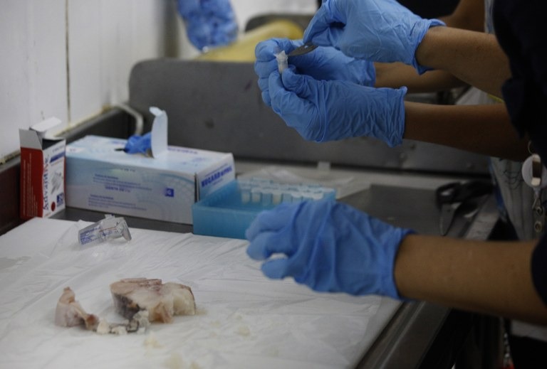 Fiscais do Mapa recolhem 260 amostras de pescado em MS e 17 estados