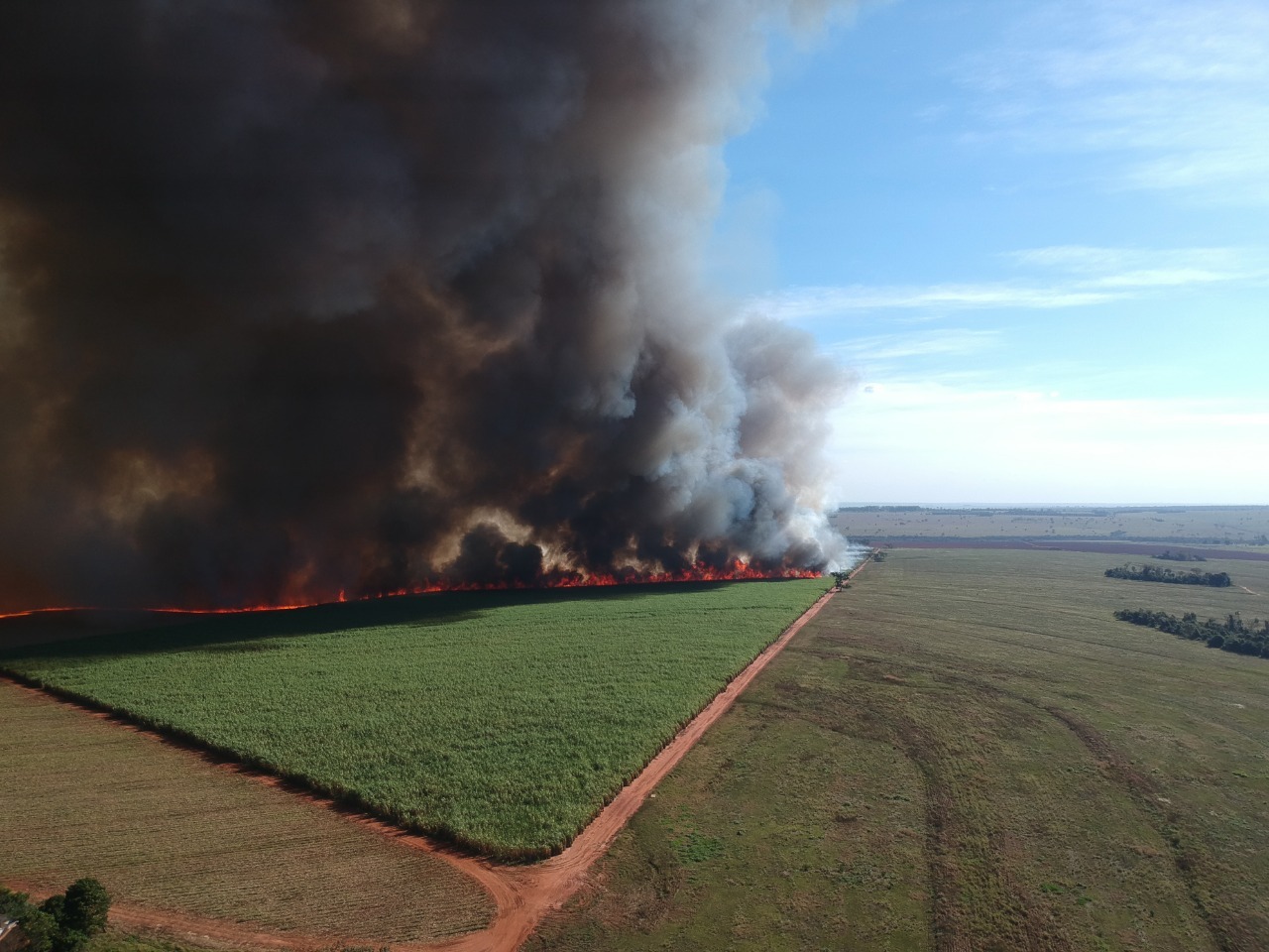 Incêndio atingiu 840 hectares da área plantada da usina. PMA/Divulgação