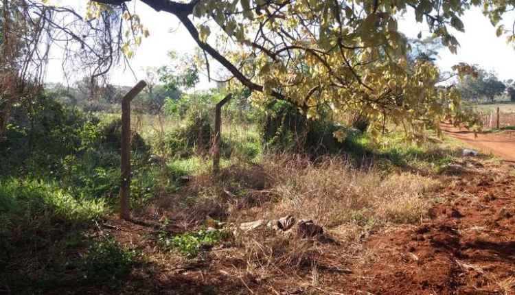 Homem é encontrado morto em rodovia na fronteira Homem é encontrado morto em rodovia na fronteira