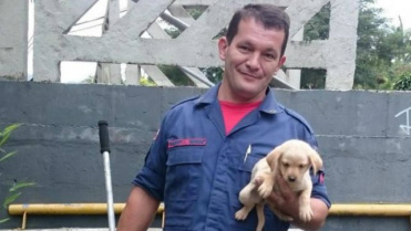 Cachorrinho foi salvo sem ferimentos por agentes do Corpo de Bombeiros Foto: Divulgação / Corpo de Bombeiros
