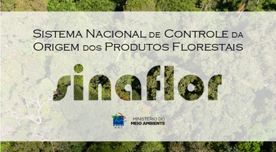 MS inicia processo para integrar controle de produtos de origem florestal ao Sinaflor