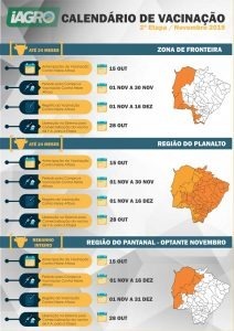 Campanha de vacinação contra febre aftosa começa em novembro Campanha de vacinação contra febre aftosa começa em novembro