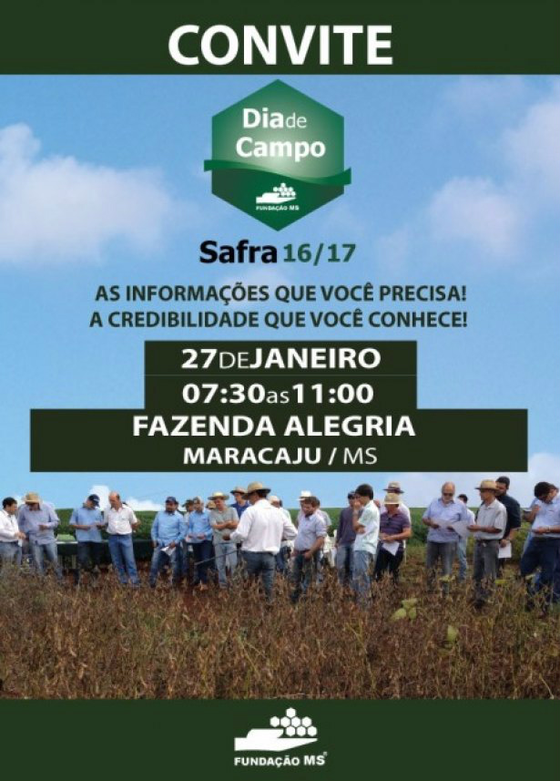 Dia de Campo em Maracaju traz variedades de soja para próxima safra