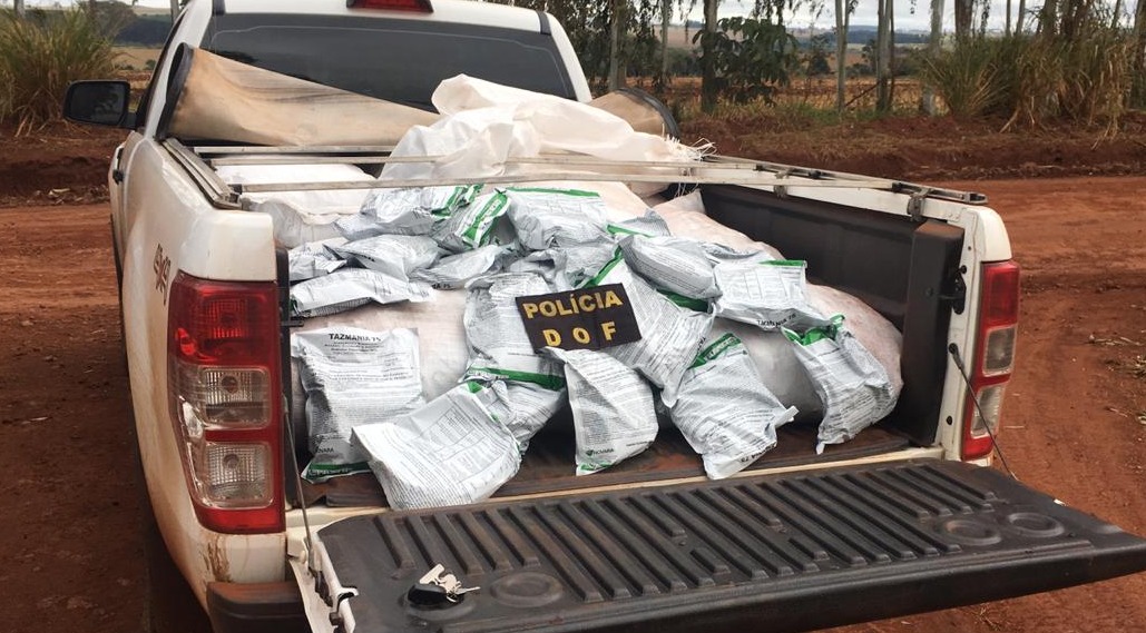 Dois são presos 380 quilos de agrotóxicos contrabandeados Divulgação
