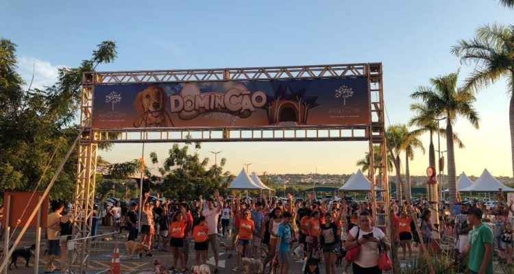 Cães têm direito a caminhada, concurso de beleza e show neste domingo Divulgação