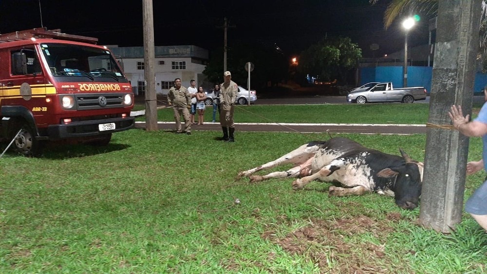 José Aparecido/TV Morena
