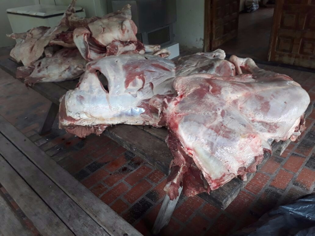 PMA apreende carne após denúncia de furto de gado Carne foi apreendida após denúncia - Foto: PMA/Divulgação