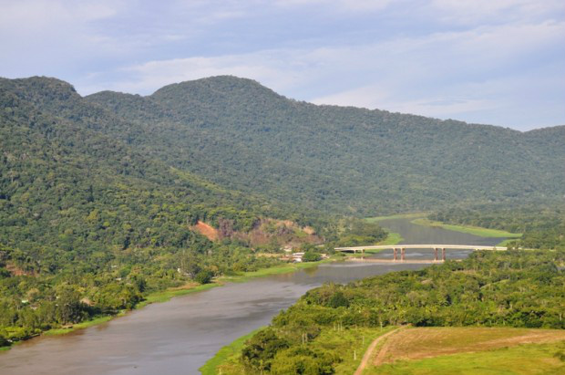Iniciativa Verde planta mais de 1 milhão de árvores na Mata Atlântica Os plantios são realizados prioritariamente em áreas degradadas.
Foto :Divulgação