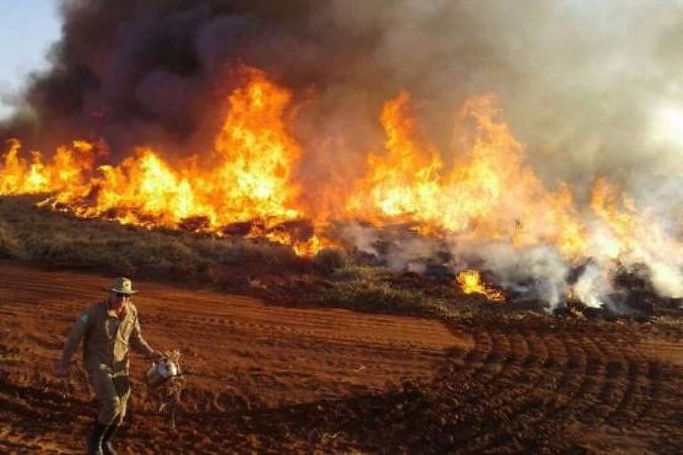Equipes do Corpo de Bombeiros combatem foco de incêndio no Pantanal Divulgação Corpo de Bombeiros do MS