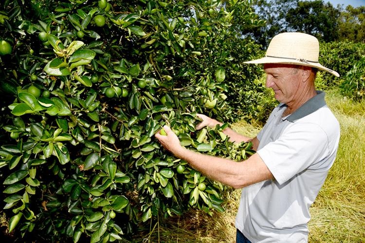 Senar/MS qualifica 1,5 mil pessoas em fruticultura no primeiro semestre de 2019 Foto: Assessoria