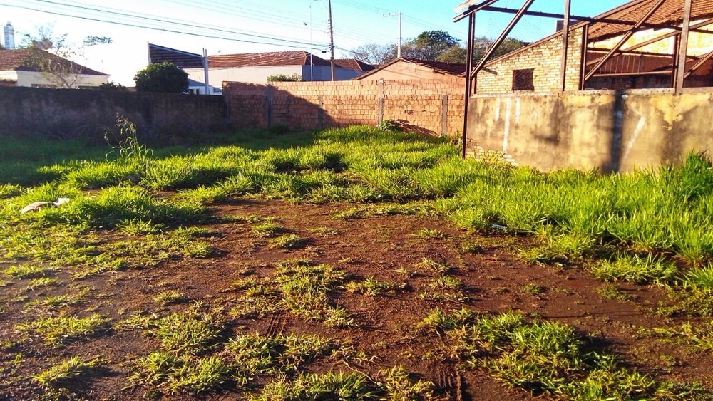 Rapaz é preso por agredir e matar homem a facadas Local onde vítima foi esfaqueada (Foto: Osvaldo Nóbrega)