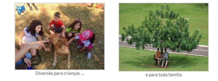 Parque das Nações Indígenas abriga rica fauna e flora e cativa o turista e o sul-mato-grossense Parque das Nações Indígenas abriga rica fauna e flora e cativa o turista e o sul-mato-grossense