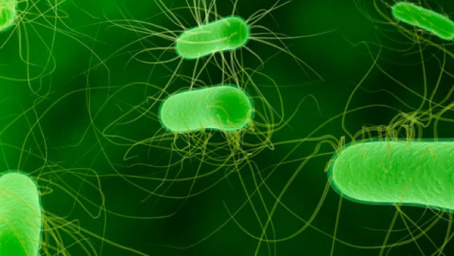 NASA choca ao afirmar que encontrará existência de vida alienígena em 10 anos