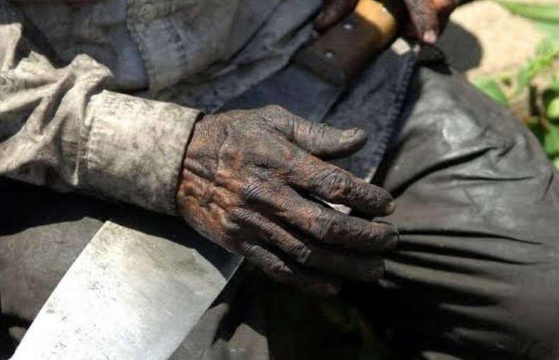 Projeto de lei foi apresentado hoje (05). Reprodução