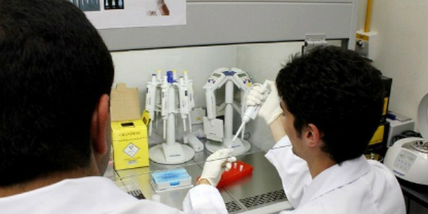 Após 30 anos de pesquisas, Fiocruz anuncia fase final de vacina contra esquistossomose