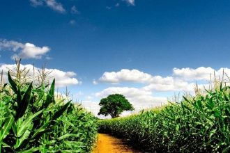Semadur e Embrapa promovem Dia de Campo na Bacia do Guariroba neste sábado