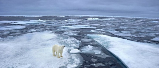 Temperaturas ameaçam humanidade cada vez mais, dizem cientistas