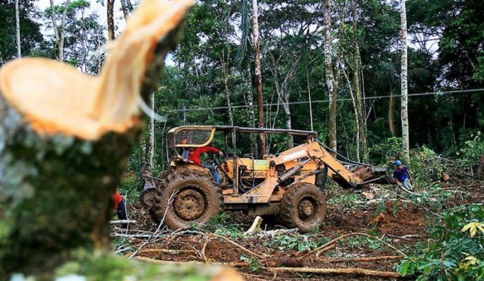 Desmatamento na Amazônia aumenta 15% e chega a 4.565 km² Foto: Reprodução