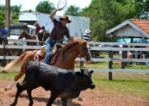 Veículo capota e mata médico veterinário e treinador na MS-080 Marcos participava de rodeio que começou ontem em Rochedo (Foto: Facebook/Reprodução)