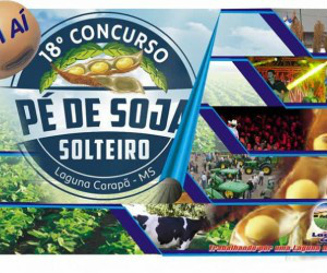 Laguna Carapã: Confirmadas as atrações do Pé de Soja Solteiro 2015 Divulgação