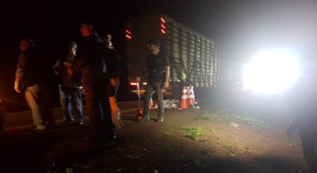 Idoso de 79 anos morre atropelado na BR-163 Midiamax