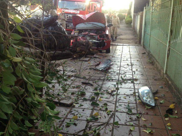 Impacto chegou a derrubar árvore em Campo Grande - 
Foto: Nadyenka Castro/G1 MS